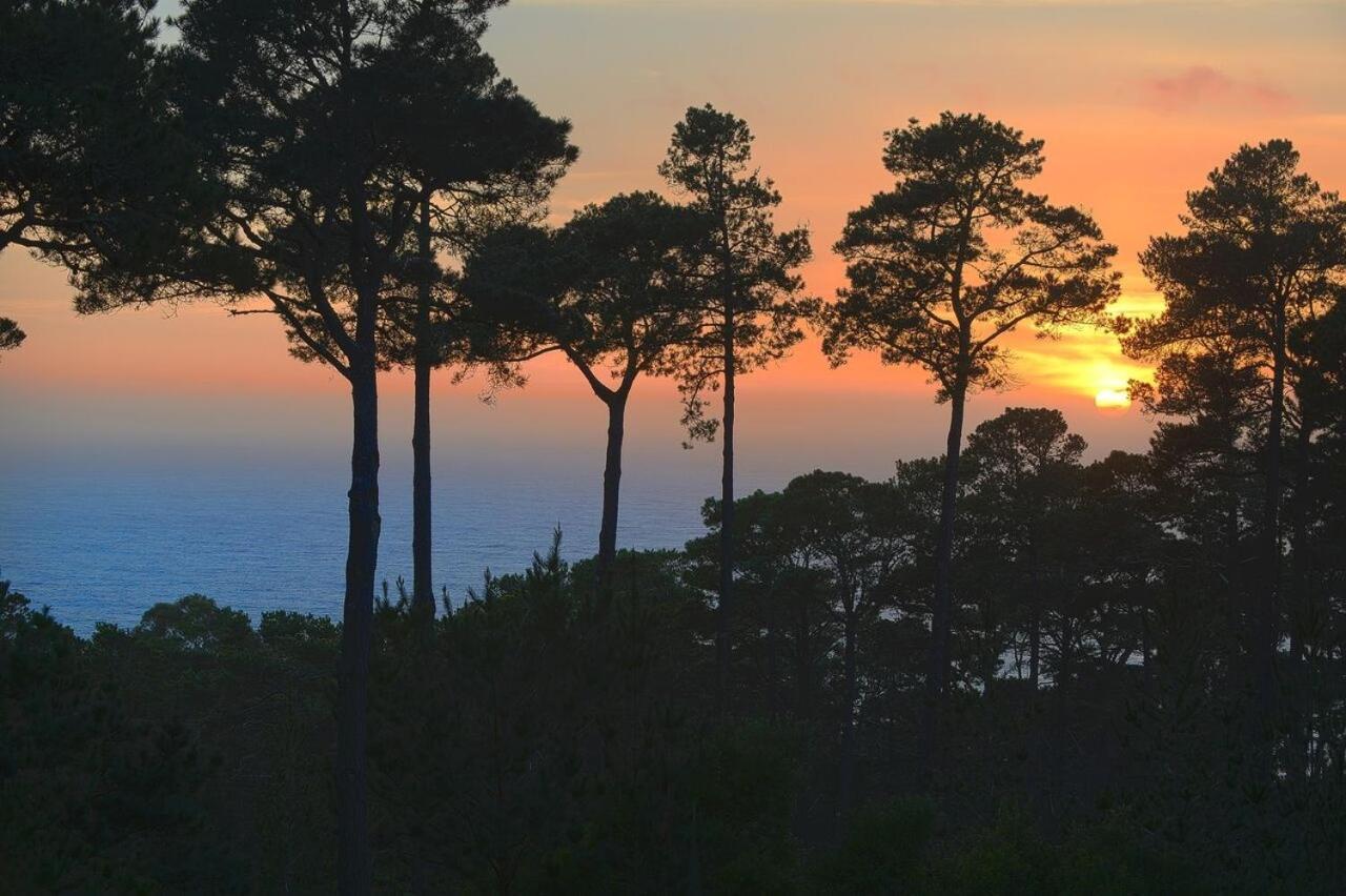 3707 Pacific'S Edge Sanctuary Home Carmel-by-the-Sea Εξωτερικό φωτογραφία