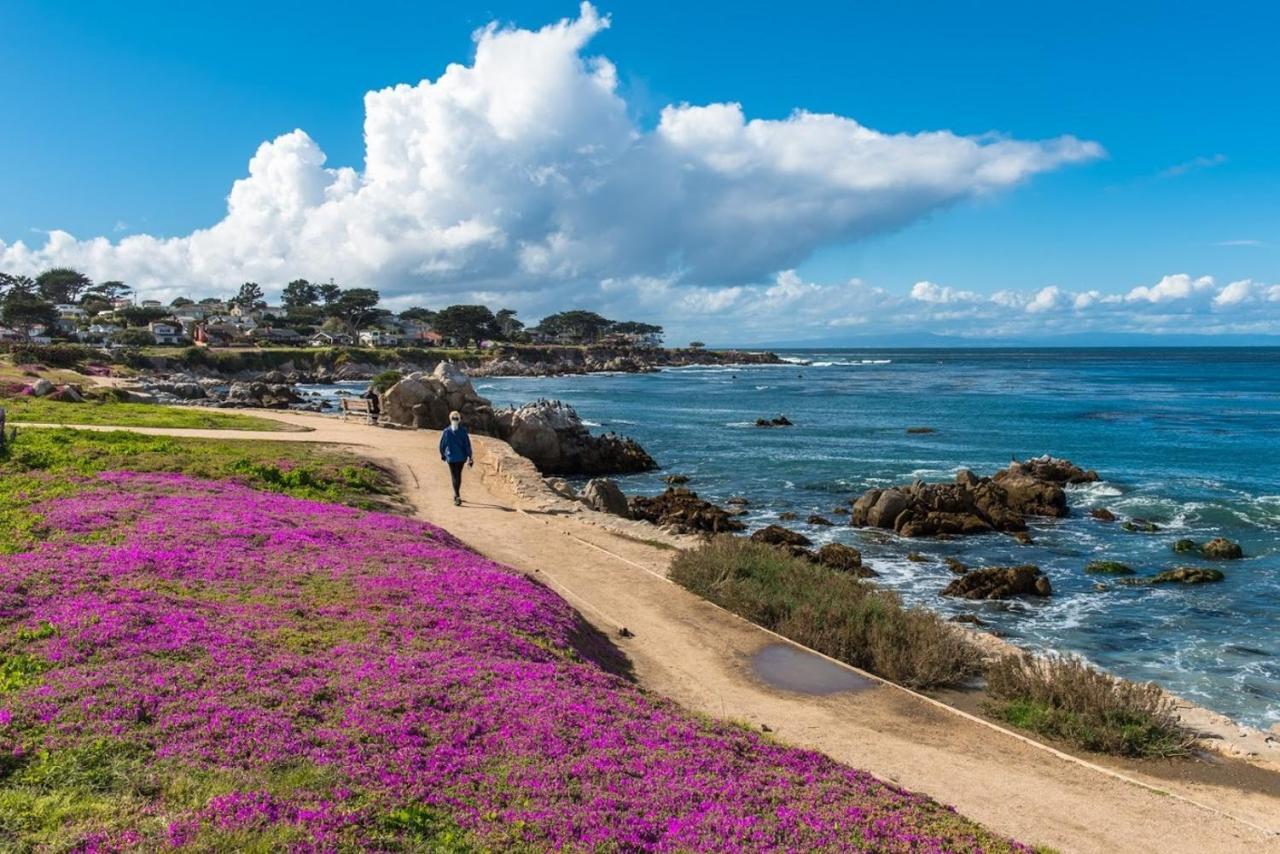 3707 Pacific'S Edge Sanctuary Home Carmel-by-the-Sea Εξωτερικό φωτογραφία