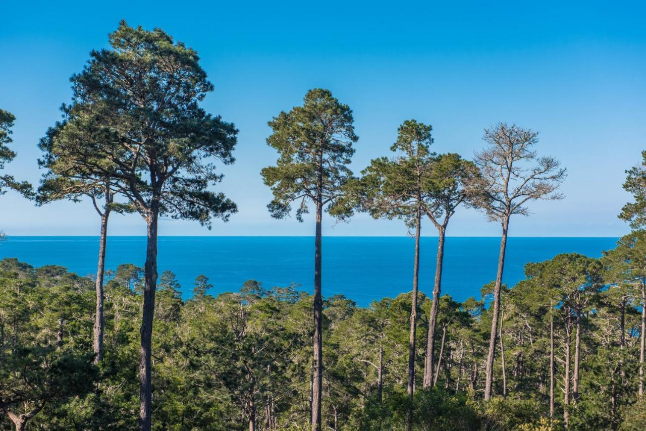 3707 Pacific'S Edge Sanctuary Home Carmel-by-the-Sea Εξωτερικό φωτογραφία